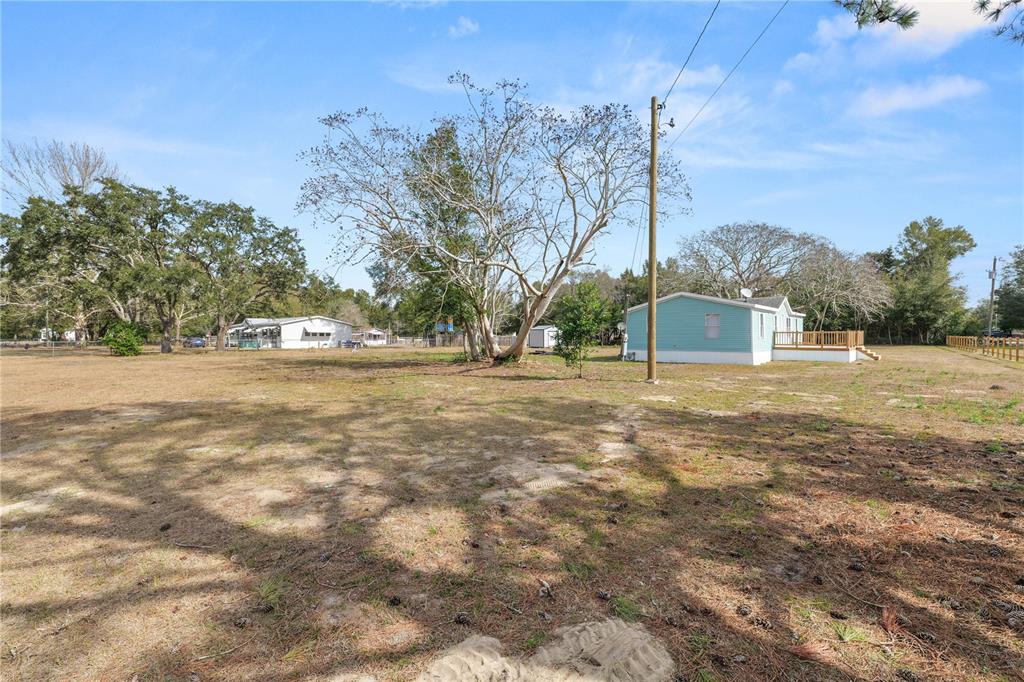 18805 St Paul Drive Spring Hill, FL 34610 - Photo 17 of 20 a view of yard with tree