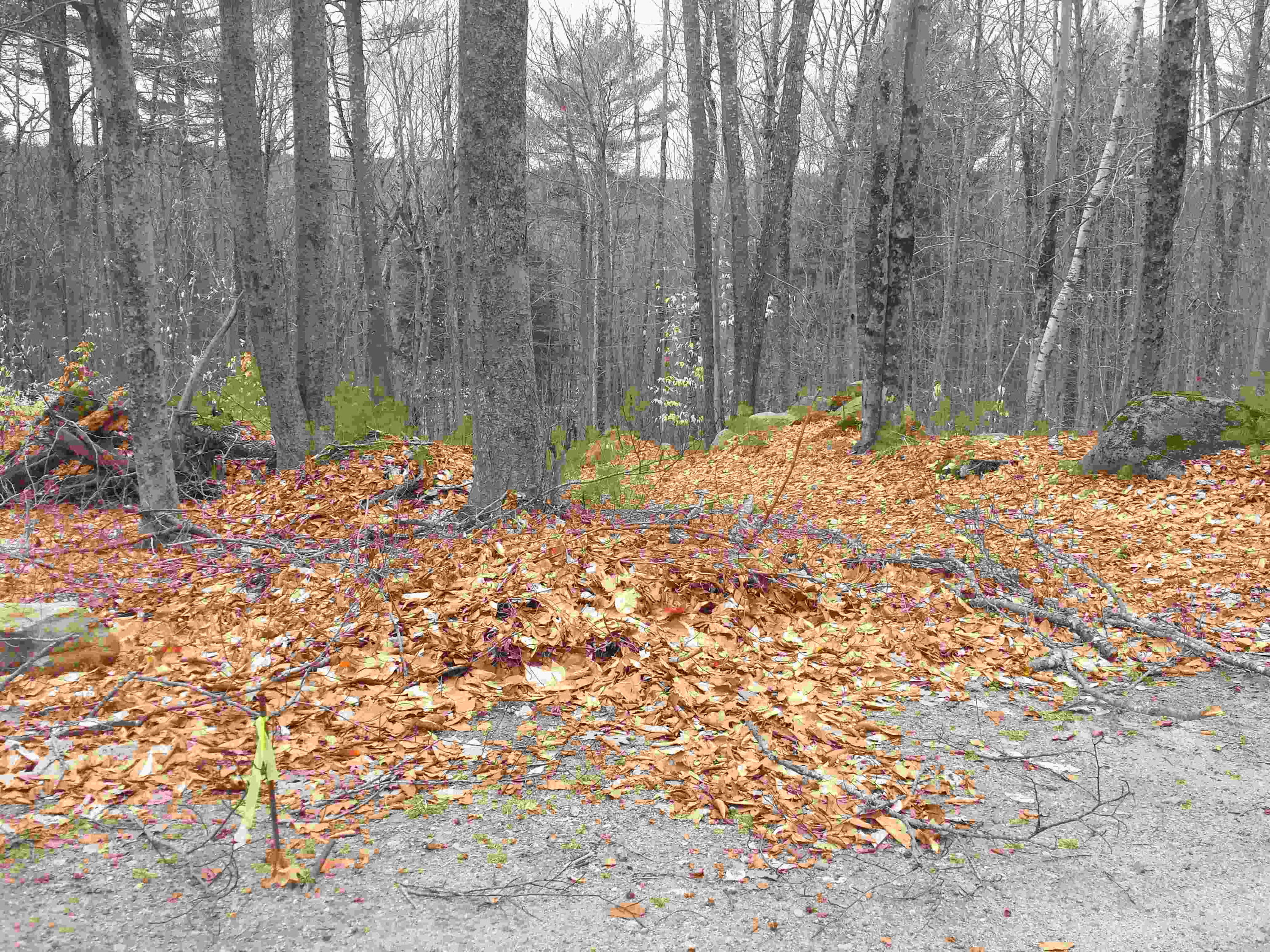 98 Beach Road Naples, ME 04055 - Photo 10 of 41 20200412_135612