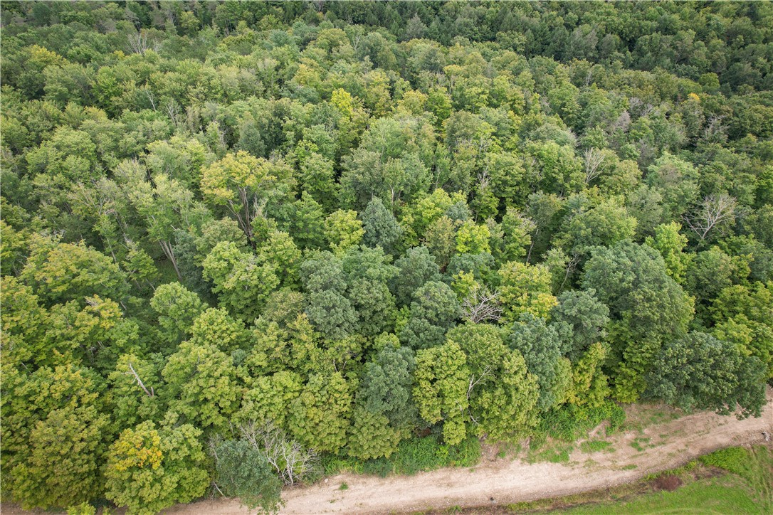 Hill Road Spencer, NY 14883 - Photo 22 of 48