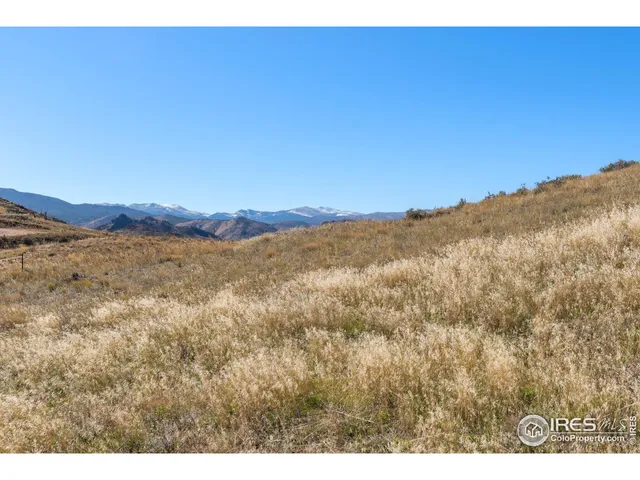a view of a dry yard