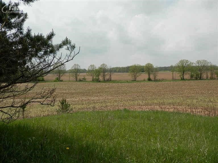 8428 O O'Connell Road Fenton, MI 48430 - Photo 17 of 18