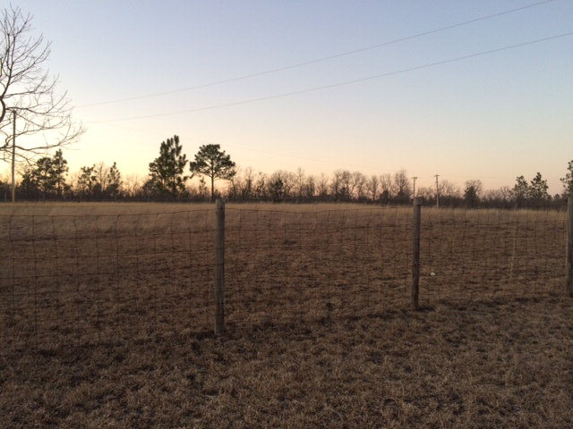 410 Beck Road Williston, SC 29853 - Photo 2 of 9 a view of a field with trees in background