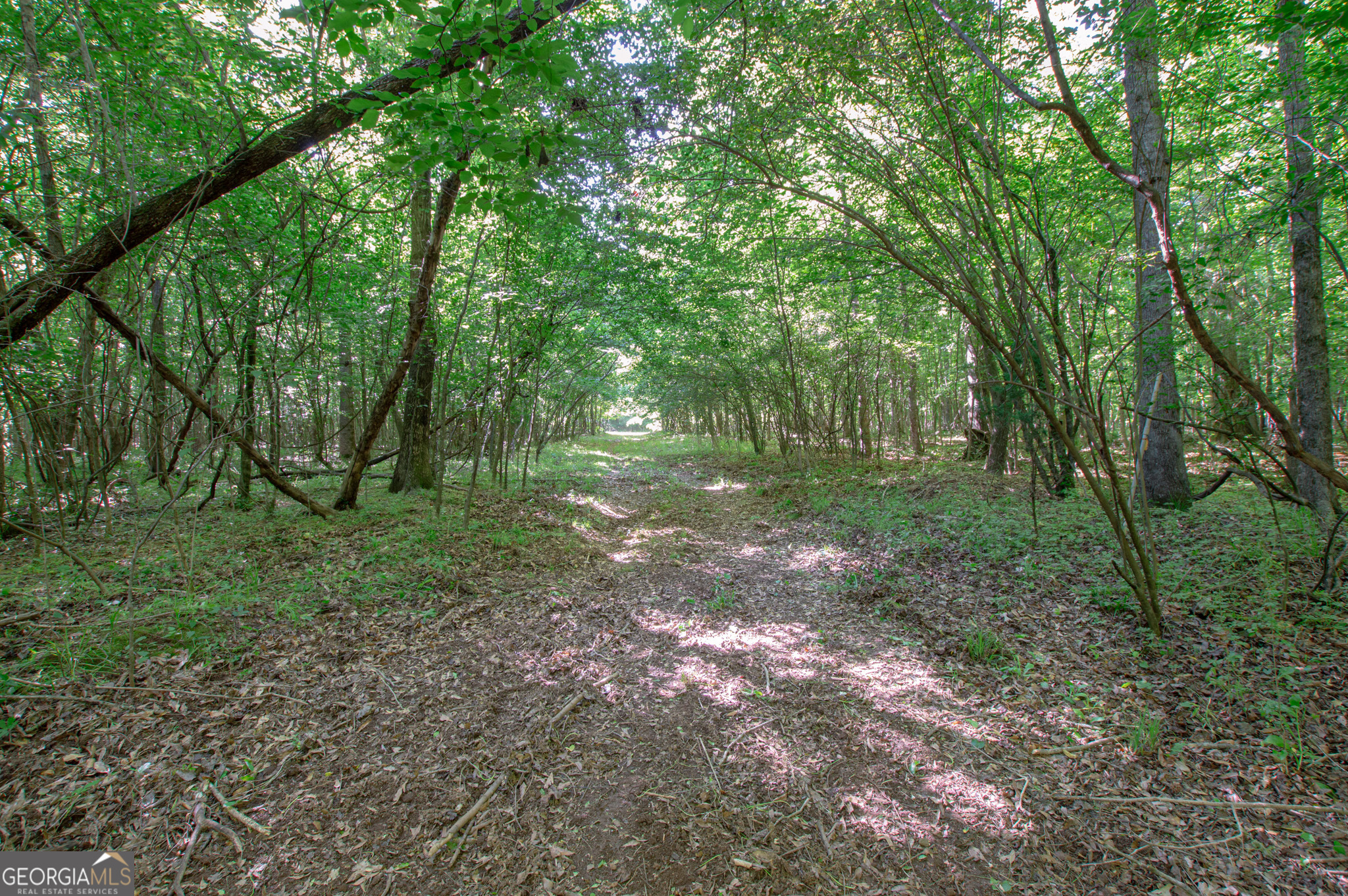 0 Apt-to-miss Road Monticello, GA 31064 - Photo 11 of 56 a view of outdoor space and green space