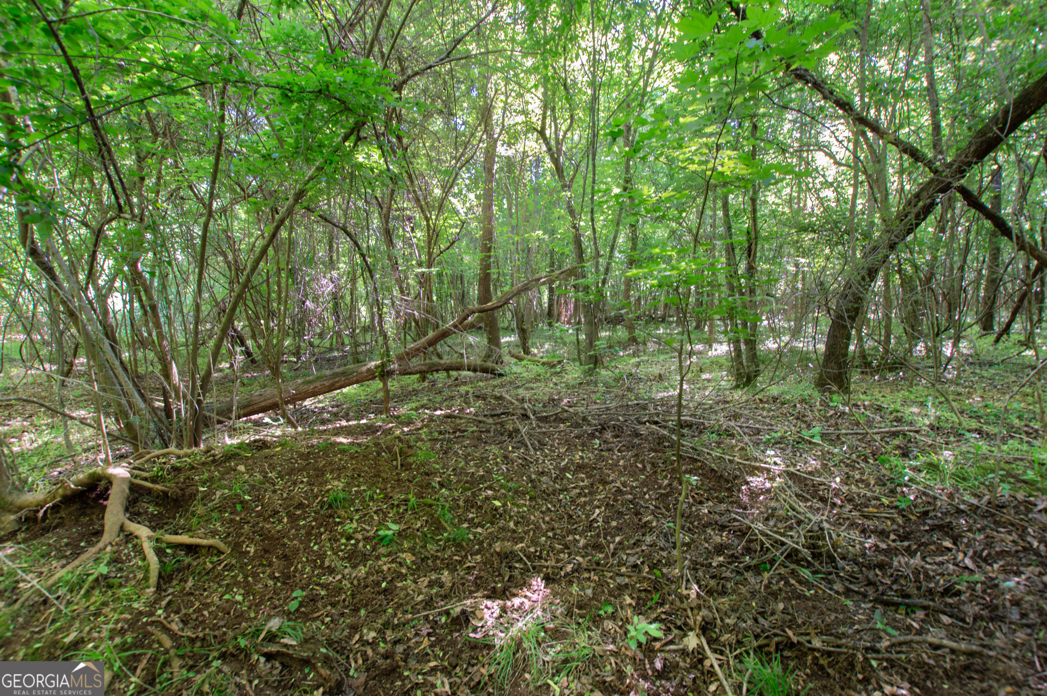 0 Apt-to-miss Road Monticello, GA 31064 - Photo 12 of 56 a big yard with lots of green space