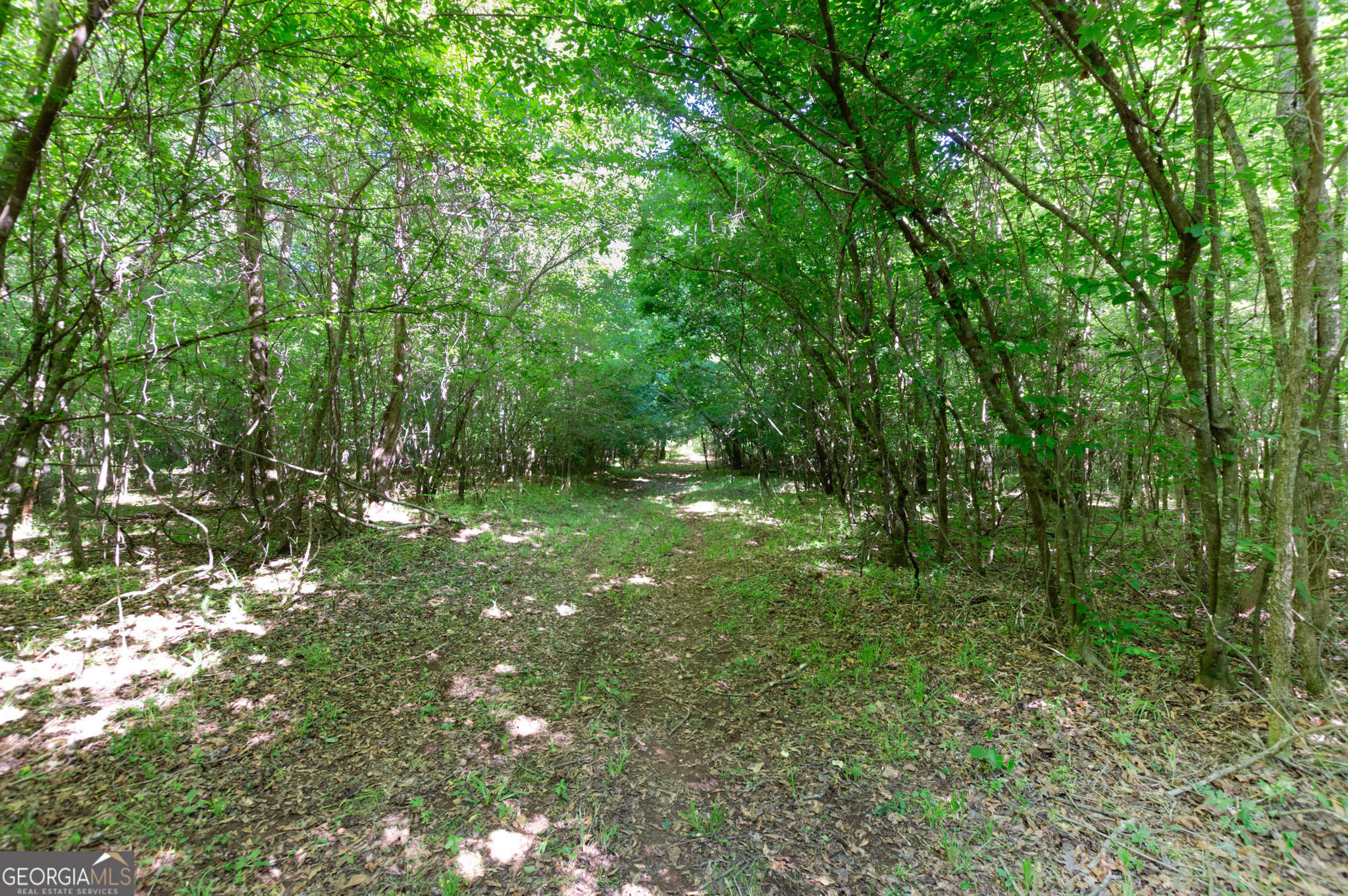 0 Apt-to-miss Road Monticello, GA 31064 - Photo 13 of 56