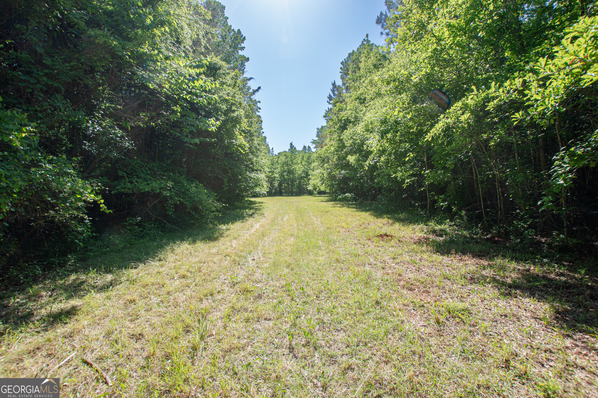 0 Apt-to-miss Road Monticello, GA 31064 - Photo 15 of 56 a view of backyard with green space
