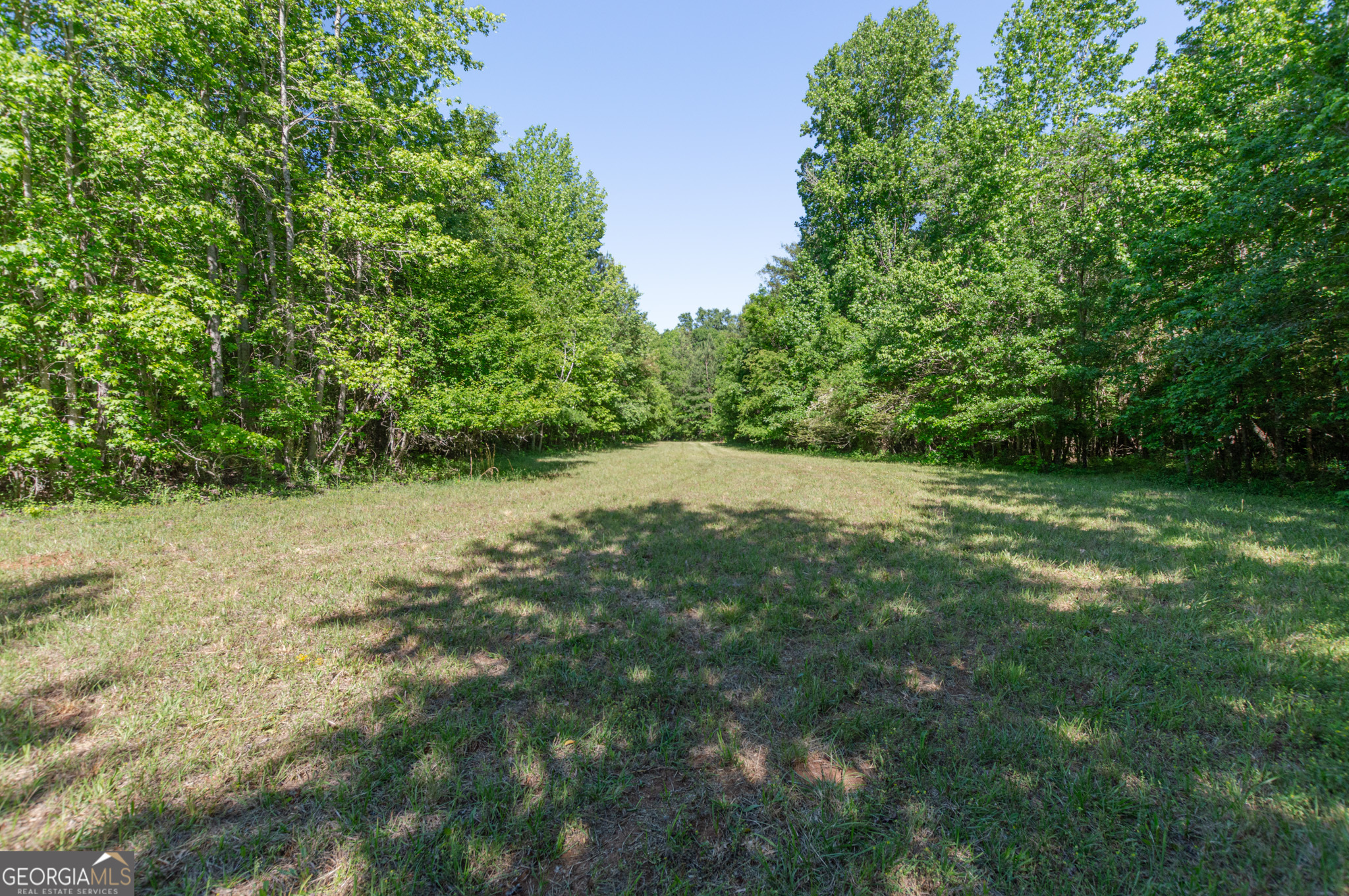 0 Apt-to-miss Road Monticello, GA 31064 - Photo 16 of 56 a view of an outdoor space and a yard