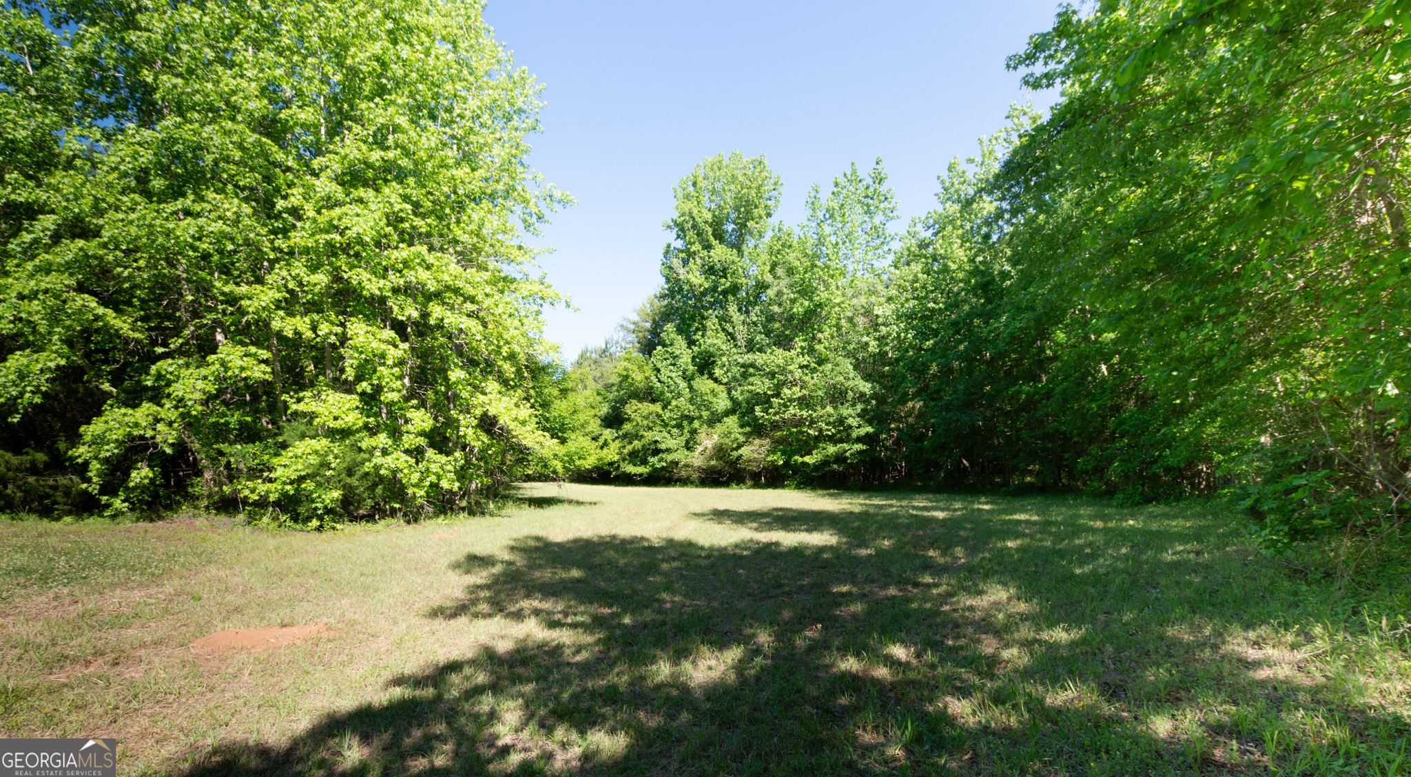 0 Apt-to-miss Road Monticello, GA 31064 - Photo 17 of 56 a view of yard with green space