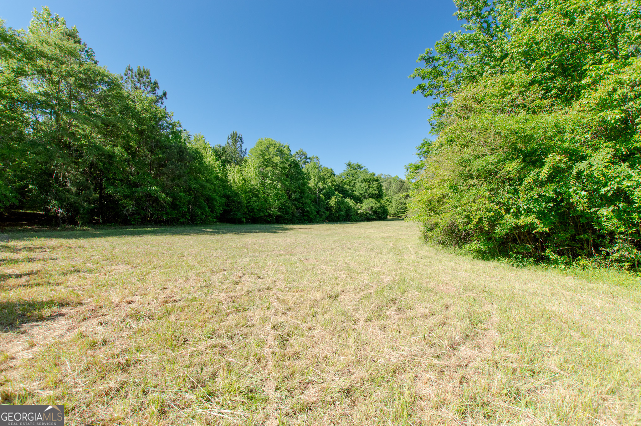 0 Apt-to-miss Road Monticello, GA 31064 - Photo 18 of 56 a view of backyard with green space