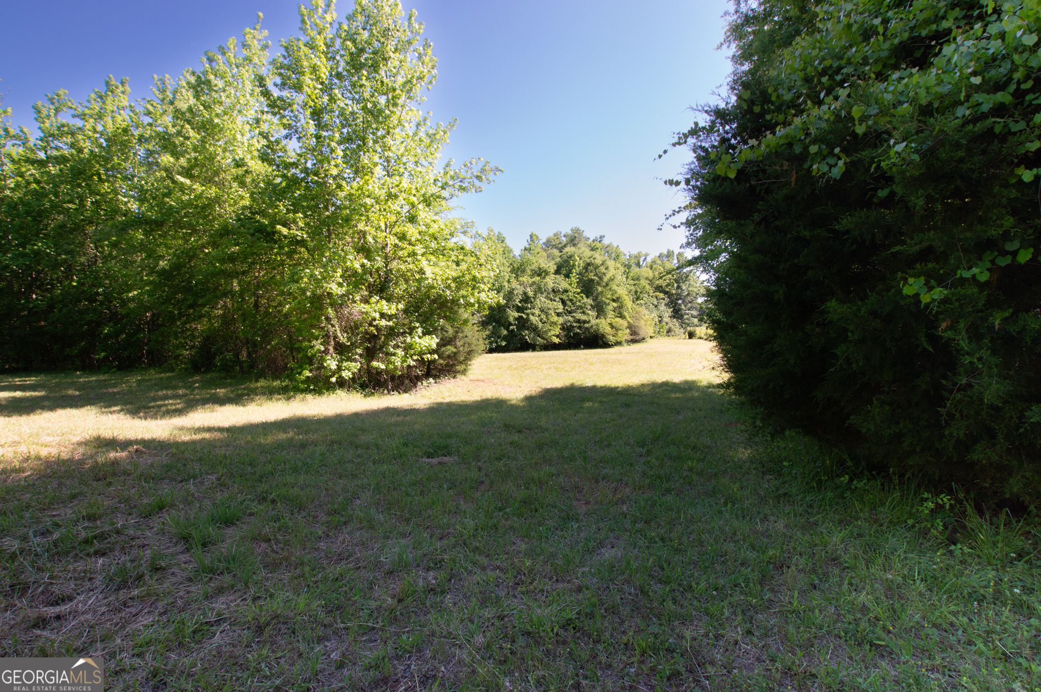 0 Apt-to-miss Road Monticello, GA 31064 - Photo 24 of 56 a view of yard with green space