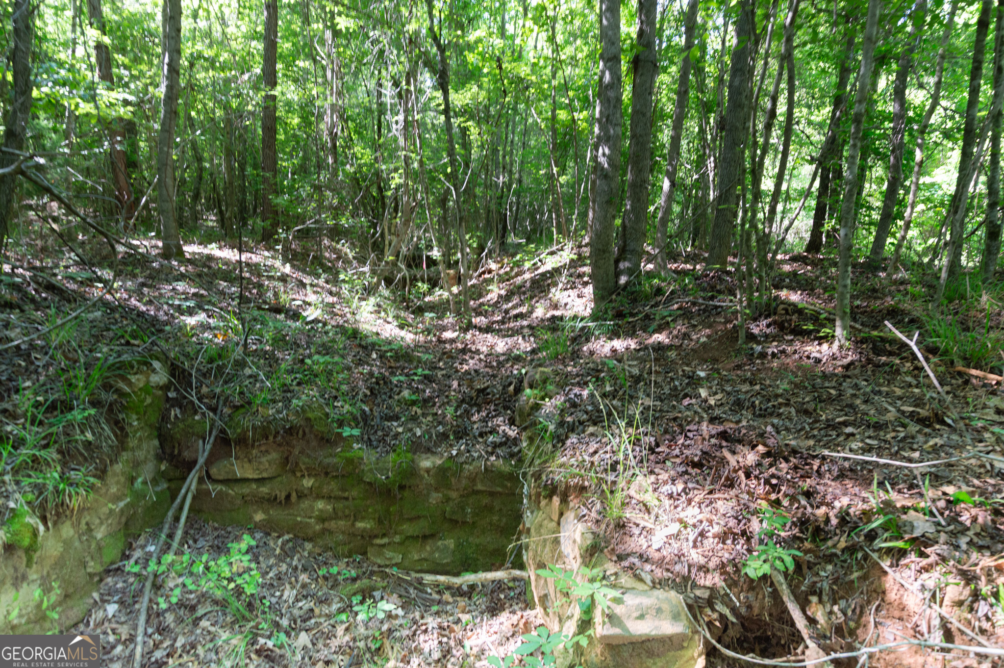 0 Apt-to-miss Road Monticello, GA 31064 - Photo 25 of 56 a backyard of a house with lots of green space and garden