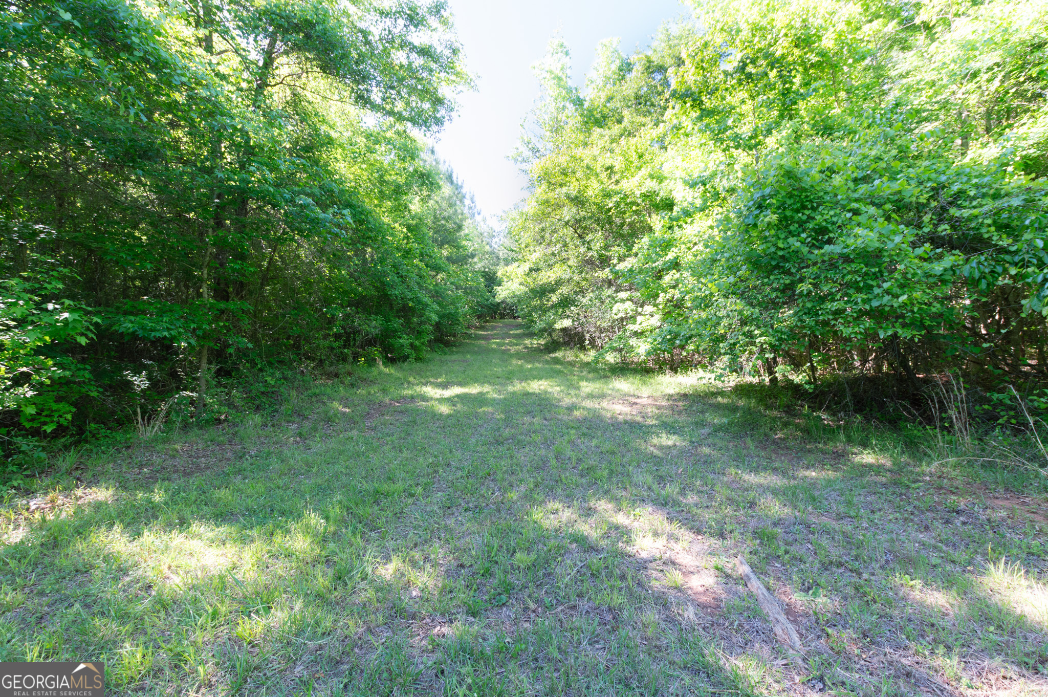 0 Apt-to-miss Road Monticello, GA 31064 - Photo 26 of 56 a view of yard with green space