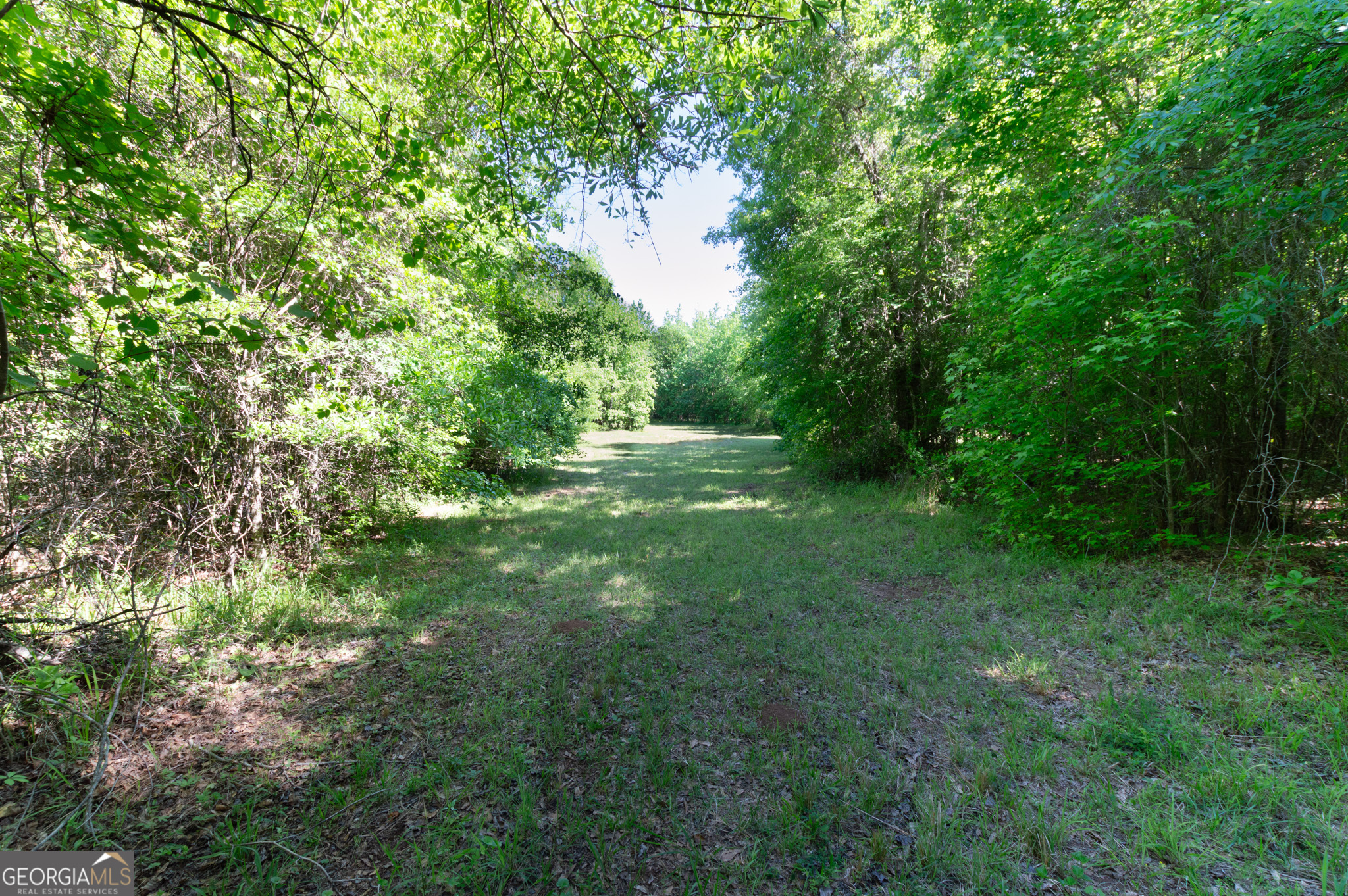 0 Apt-to-miss Road Monticello, GA 31064 - Photo 27 of 56 a view of outdoor space and yard