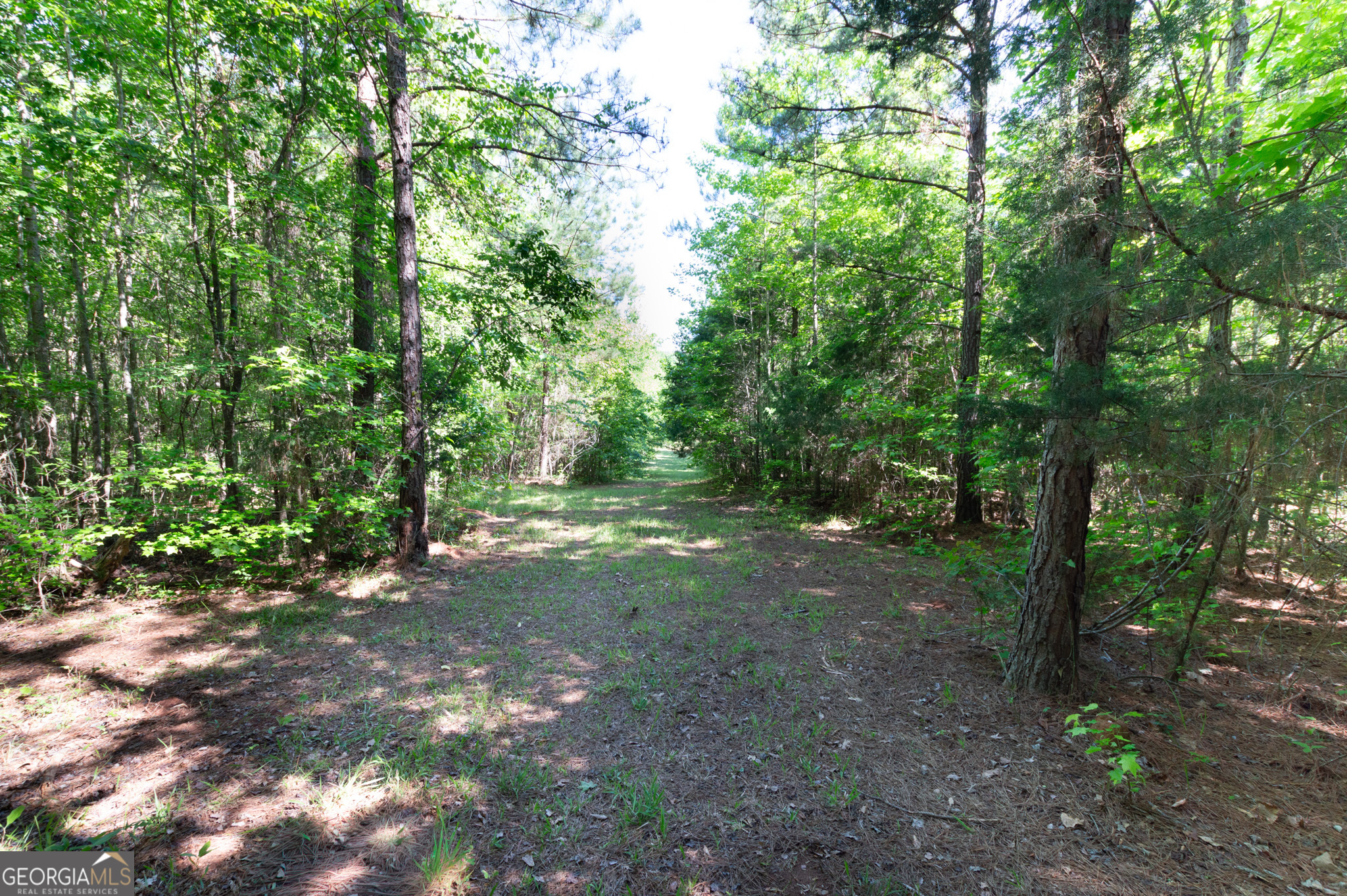 0 Apt-to-miss Road Monticello, GA 31064 - Photo 28 of 56 a view of a forest with trees in the background
