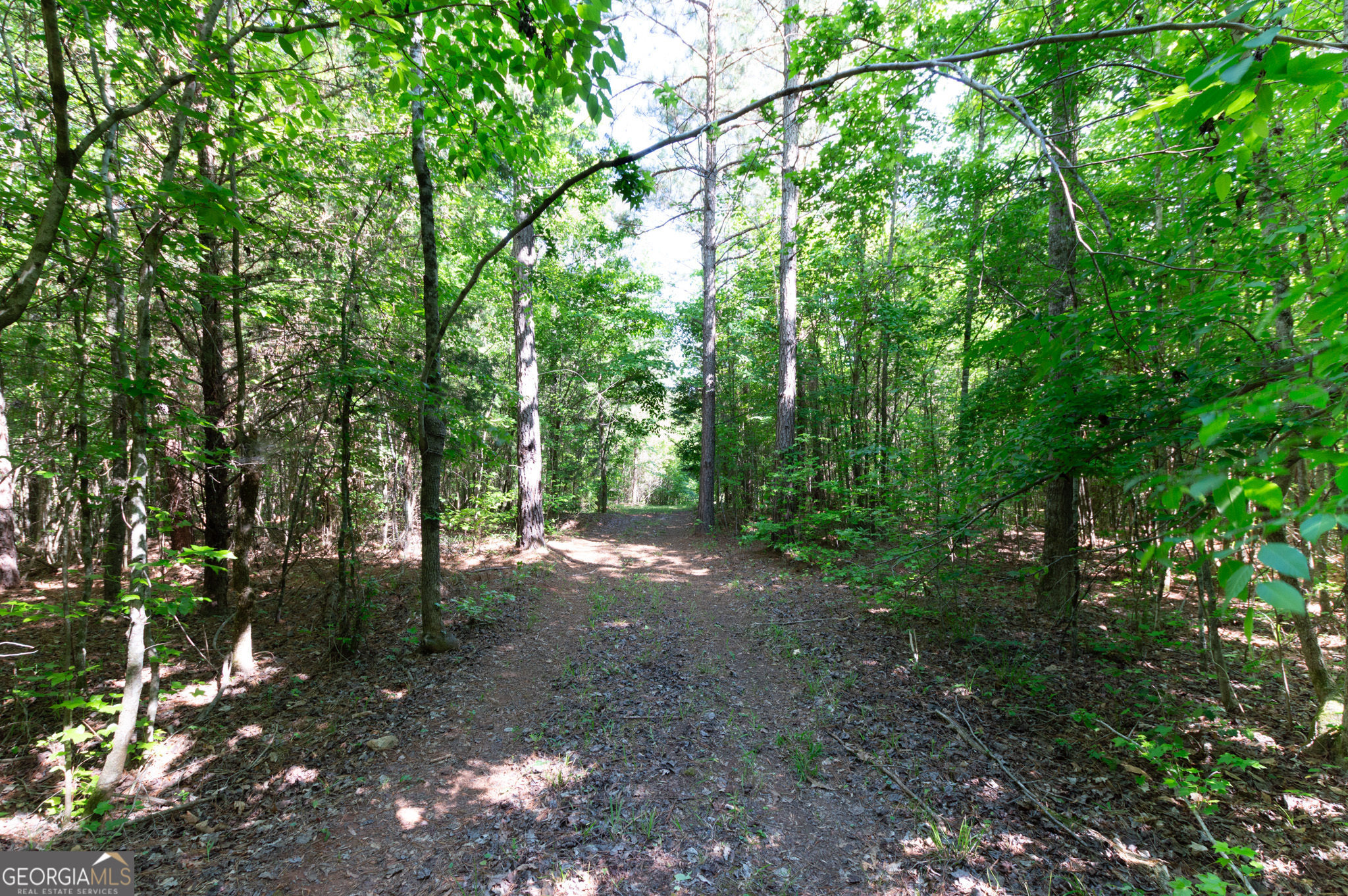 0 Apt-to-miss Road Monticello, GA 31064 - Photo 29 of 56 a view of outdoor space and trees all around