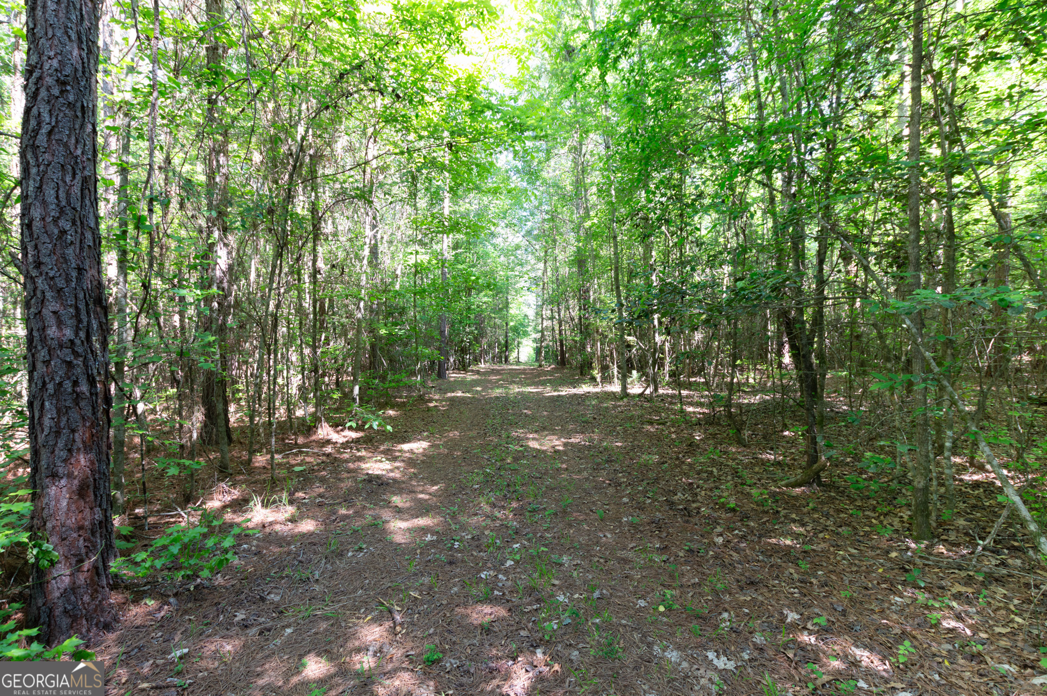 0 Apt-to-miss Road Monticello, GA 31064 - Photo 30 of 56 a view of outdoor space and trees