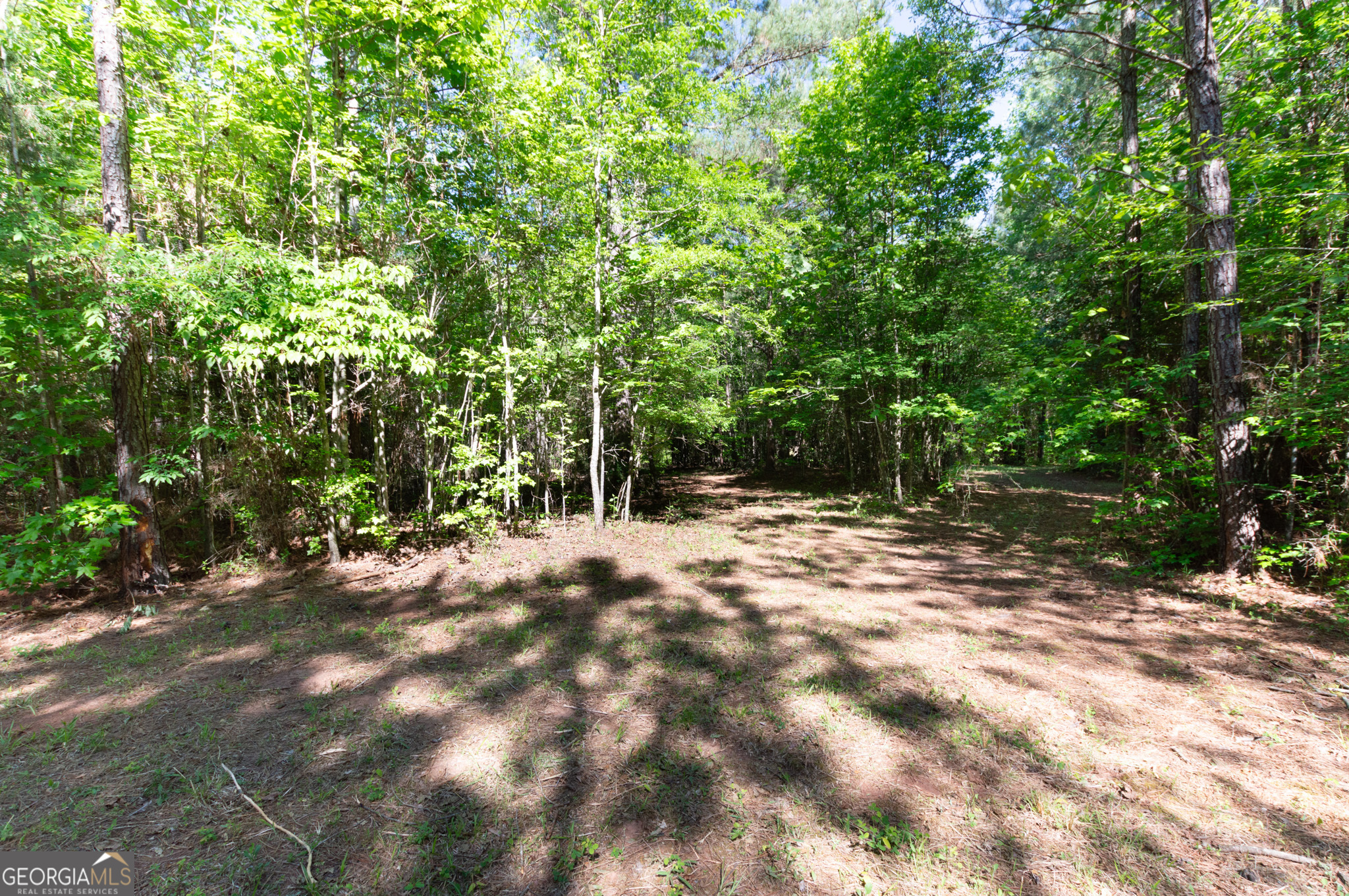 0 Apt-to-miss Road Monticello, GA 31064 - Photo 32 of 56 a view of outdoor space with trees