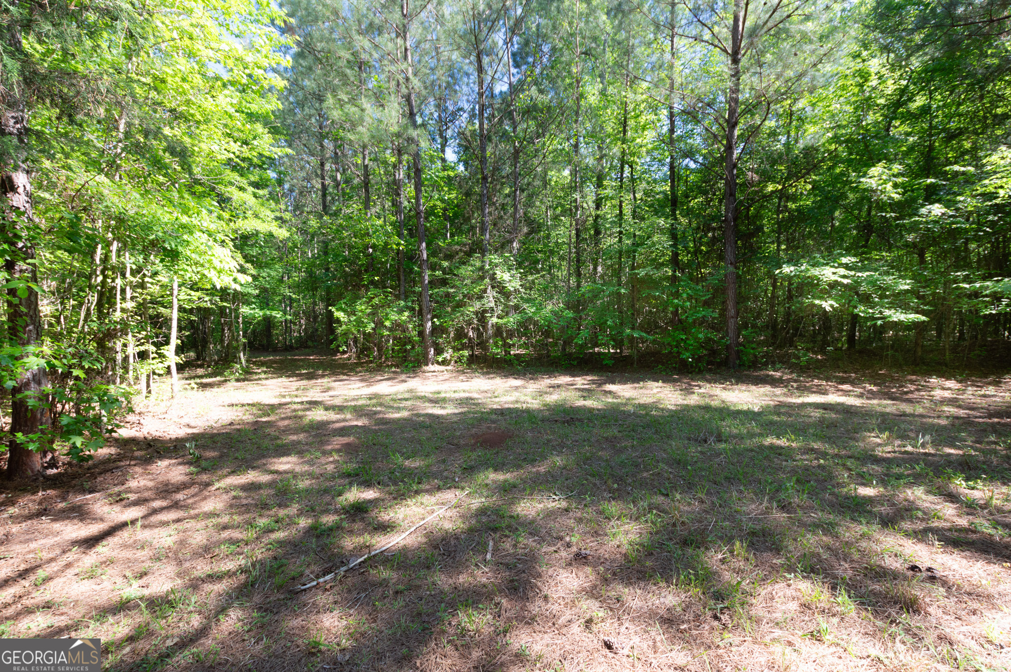 0 Apt-to-miss Road Monticello, GA 31064 - Photo 33 of 56 a view of a yard with a tree