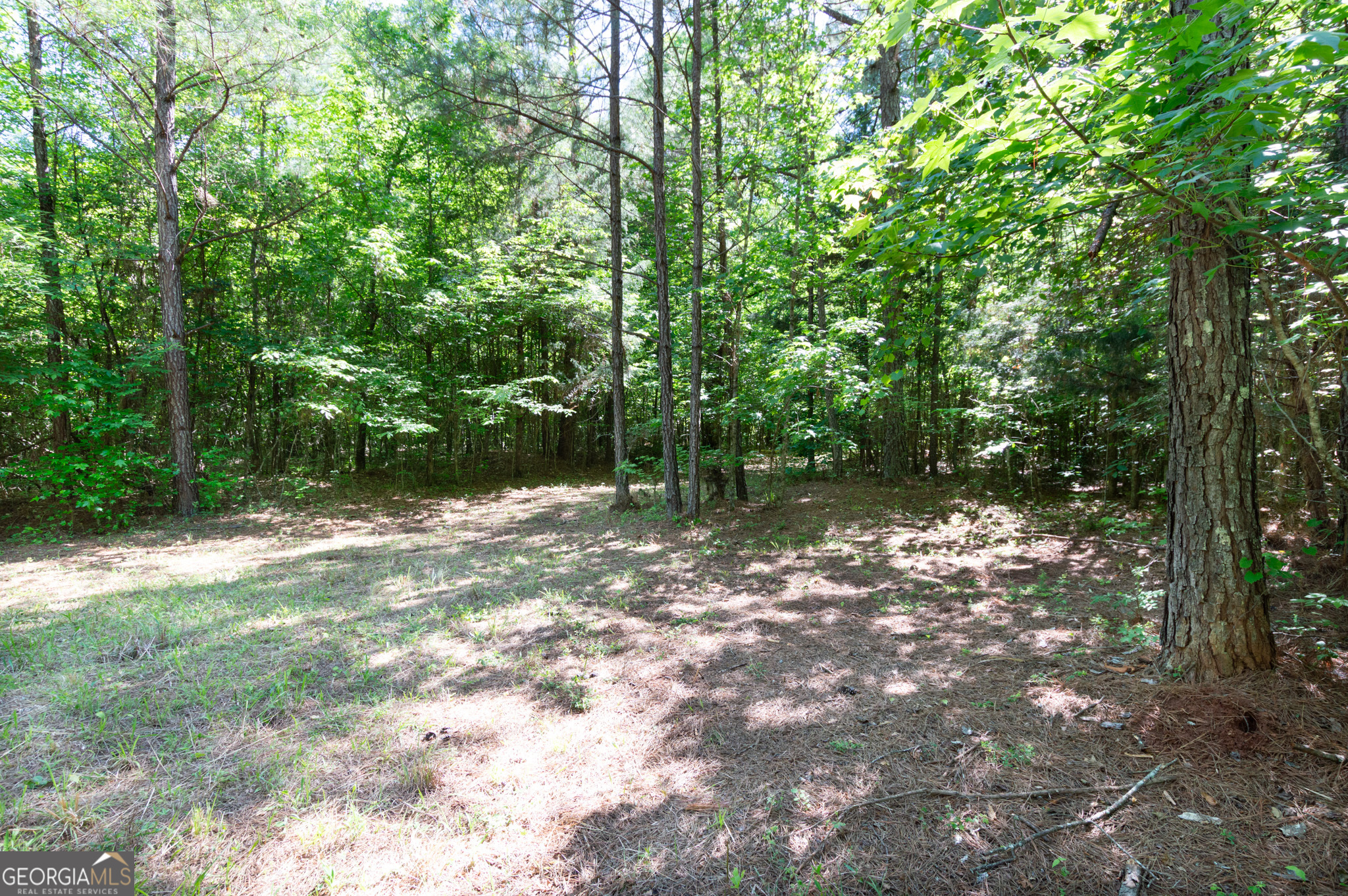 0 Apt-to-miss Road Monticello, GA 31064 - Photo 34 of 56 a backyard of a house with lots of green space