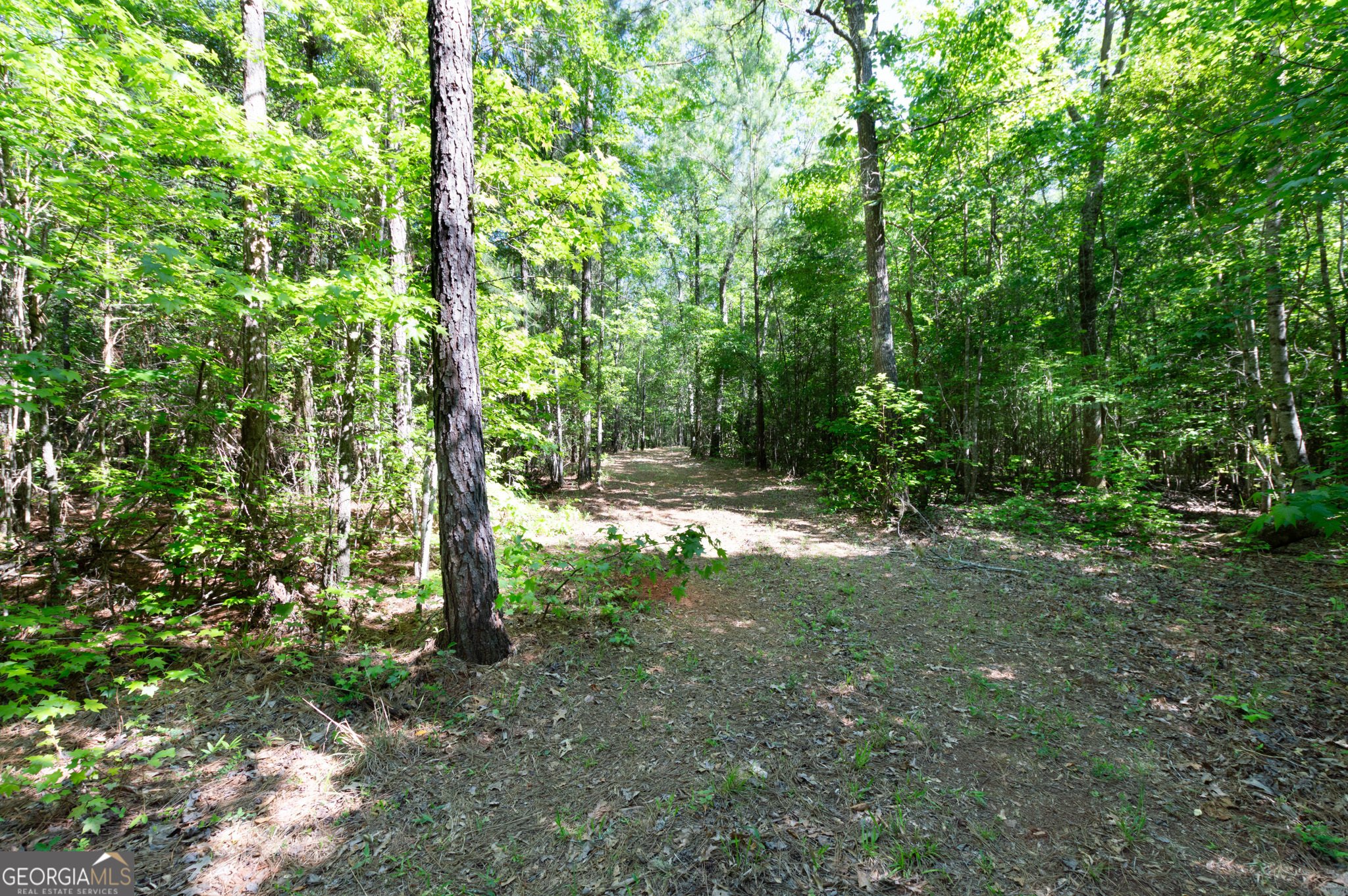 0 Apt-to-miss Road Monticello, GA 31064 - Photo 35 of 56 a view of outdoor space and yard