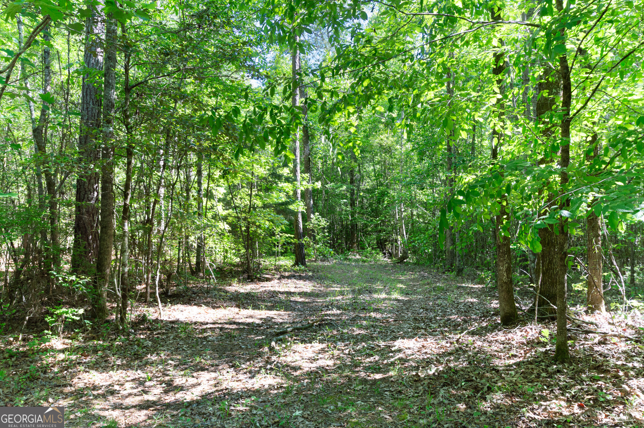 0 Apt-to-miss Road Monticello, GA 31064 - Photo 36 of 56 a big yard with lots of green space and trees