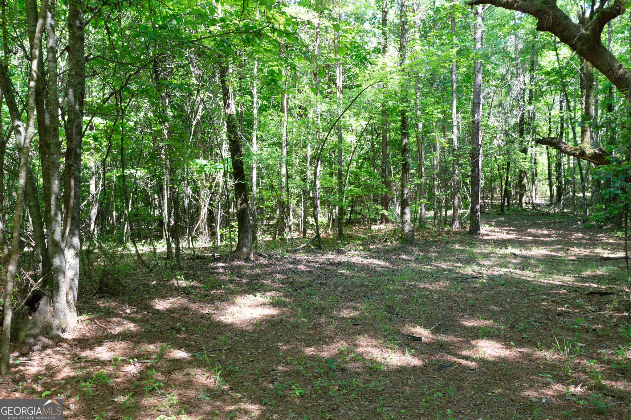0 Apt-to-miss Road Monticello, GA 31064 - Photo 38 of 56 a big yard with lots of green space and trees