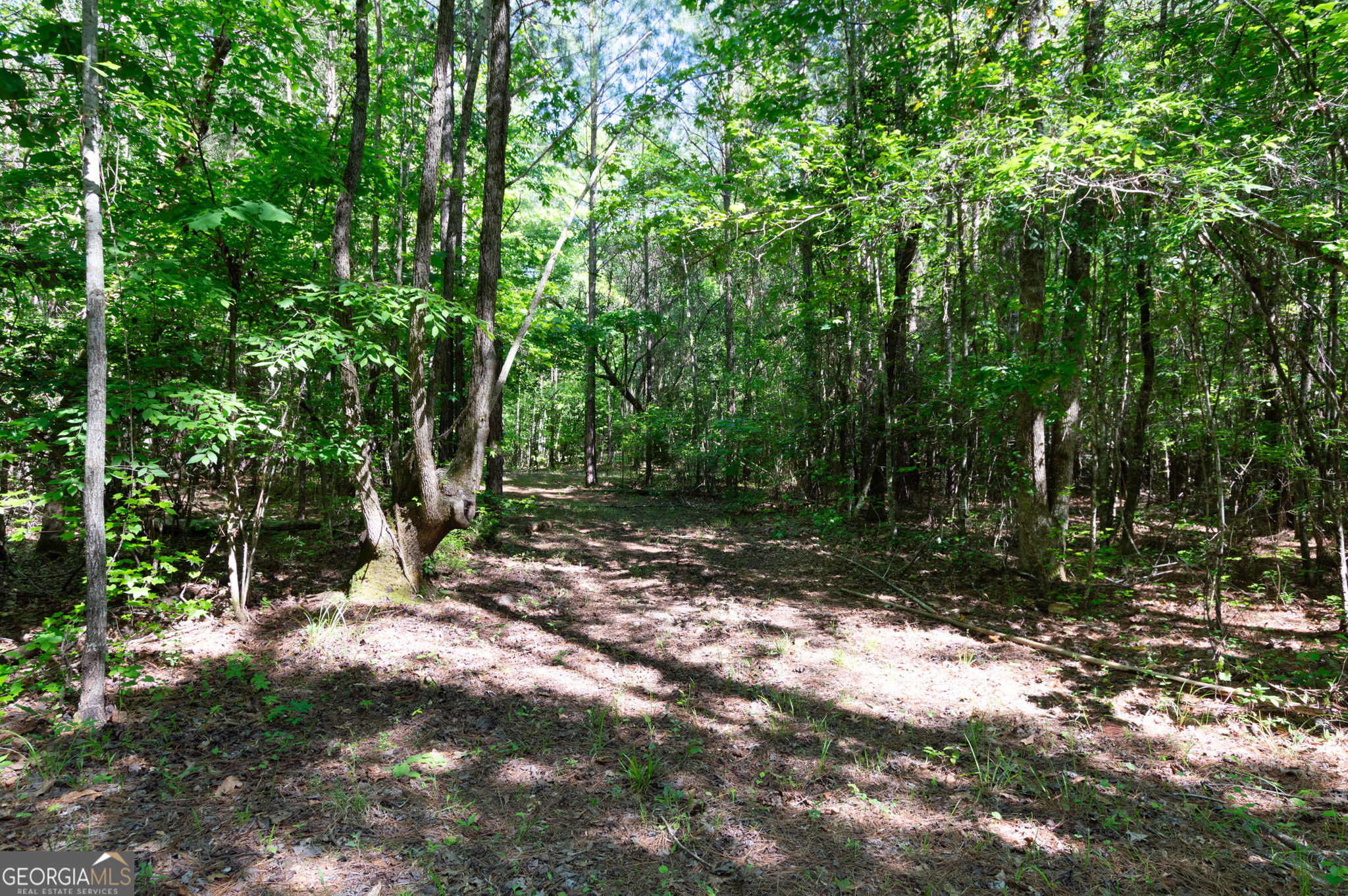 0 Apt-to-miss Road Monticello, GA 31064 - Photo 39 of 56 a view of outdoor space with trees all around