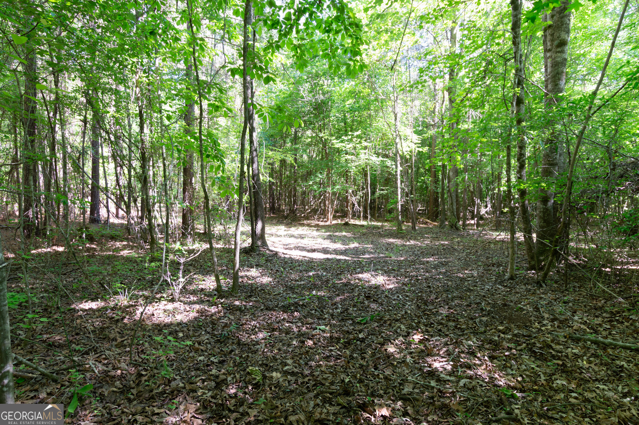 0 Apt-to-miss Road Monticello, GA 31064 - Photo 41 of 56 a view of outdoor space and trees