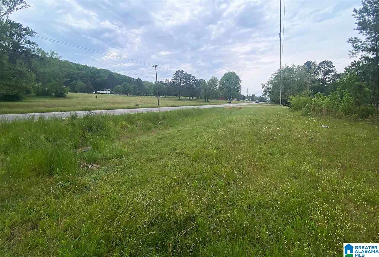 19639 Highway 411 Springville, AL 35146 - Photo 2 of 3