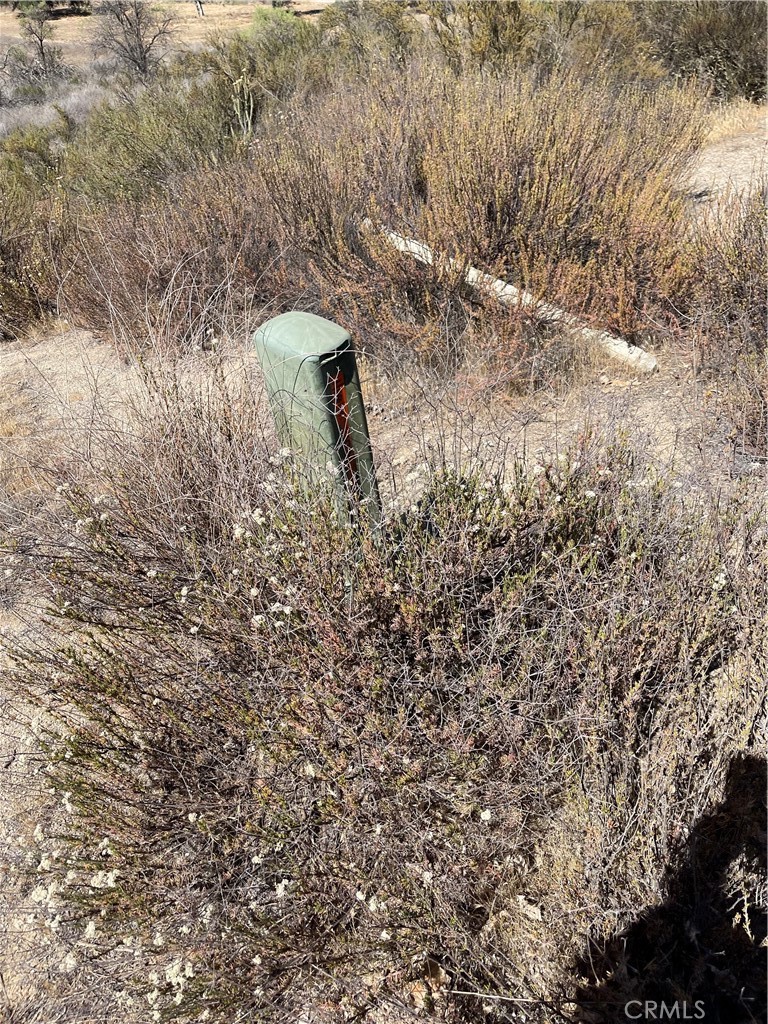 21 Stier Street Hemet, CA 92544 - Photo 12 of 12 Power & phone at Coleman Road.