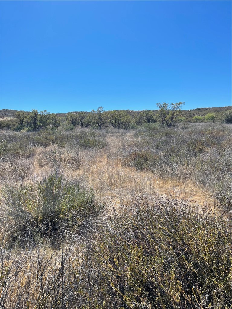 21 Stier Street Hemet, CA 92544 - Photo 4 of 12 View of parcel.