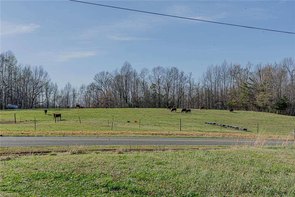 9409 Wheelers Church Road Cedar Grove, NC 27231 - Photo 38 of 49