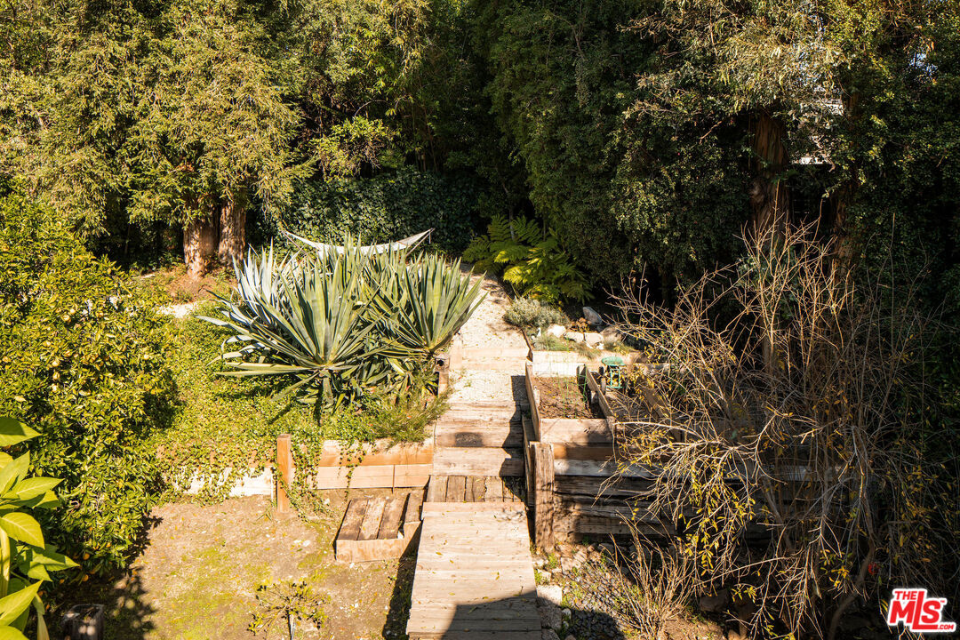 10225 Valley Spring Lane Toluca Lake, CA 91602 - Photo 28 of 35 a picture of plants