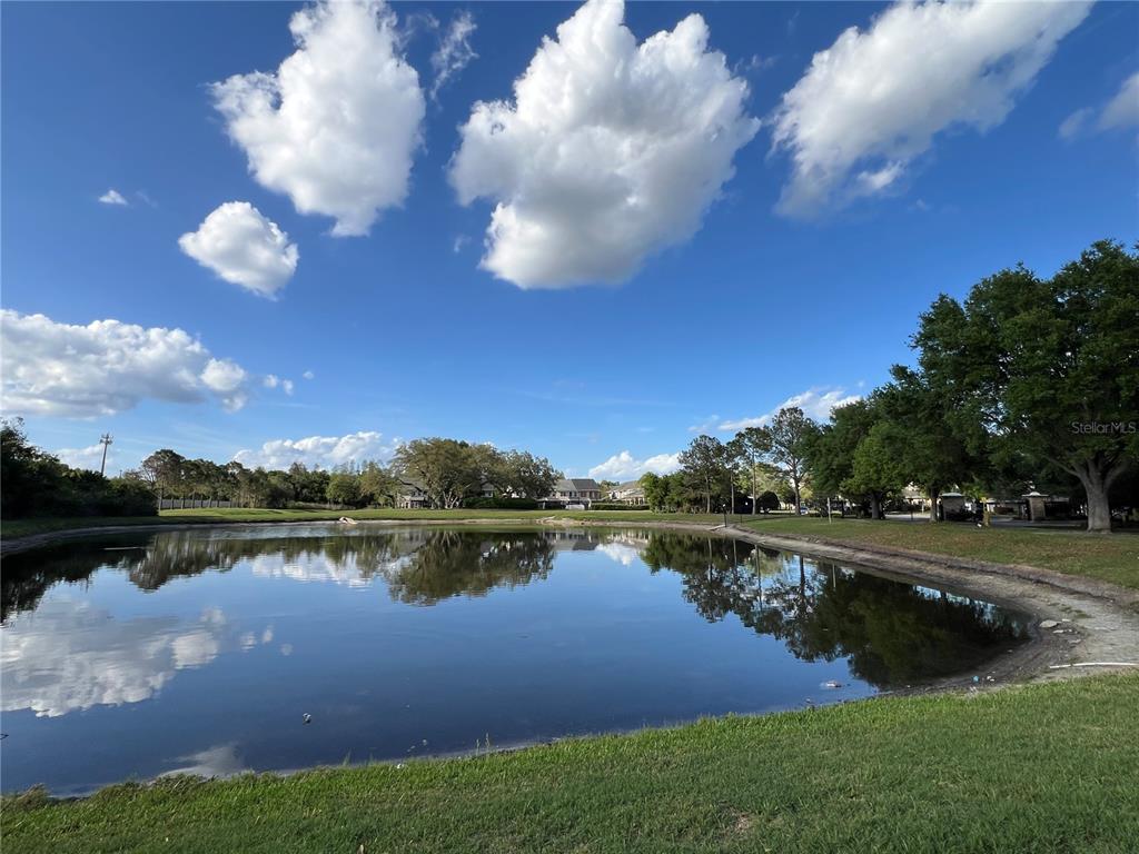 8210 Down Royal Road Tampa, FL 33610 - Photo 40 of 43