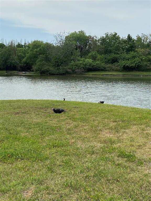 8210 Down Royal Road Tampa, FL 33610 - Photo 41 of 43