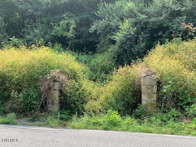 0 12th, Unit 15 Norton, VA 24273 - Photo 2 of 3 Blackburn3