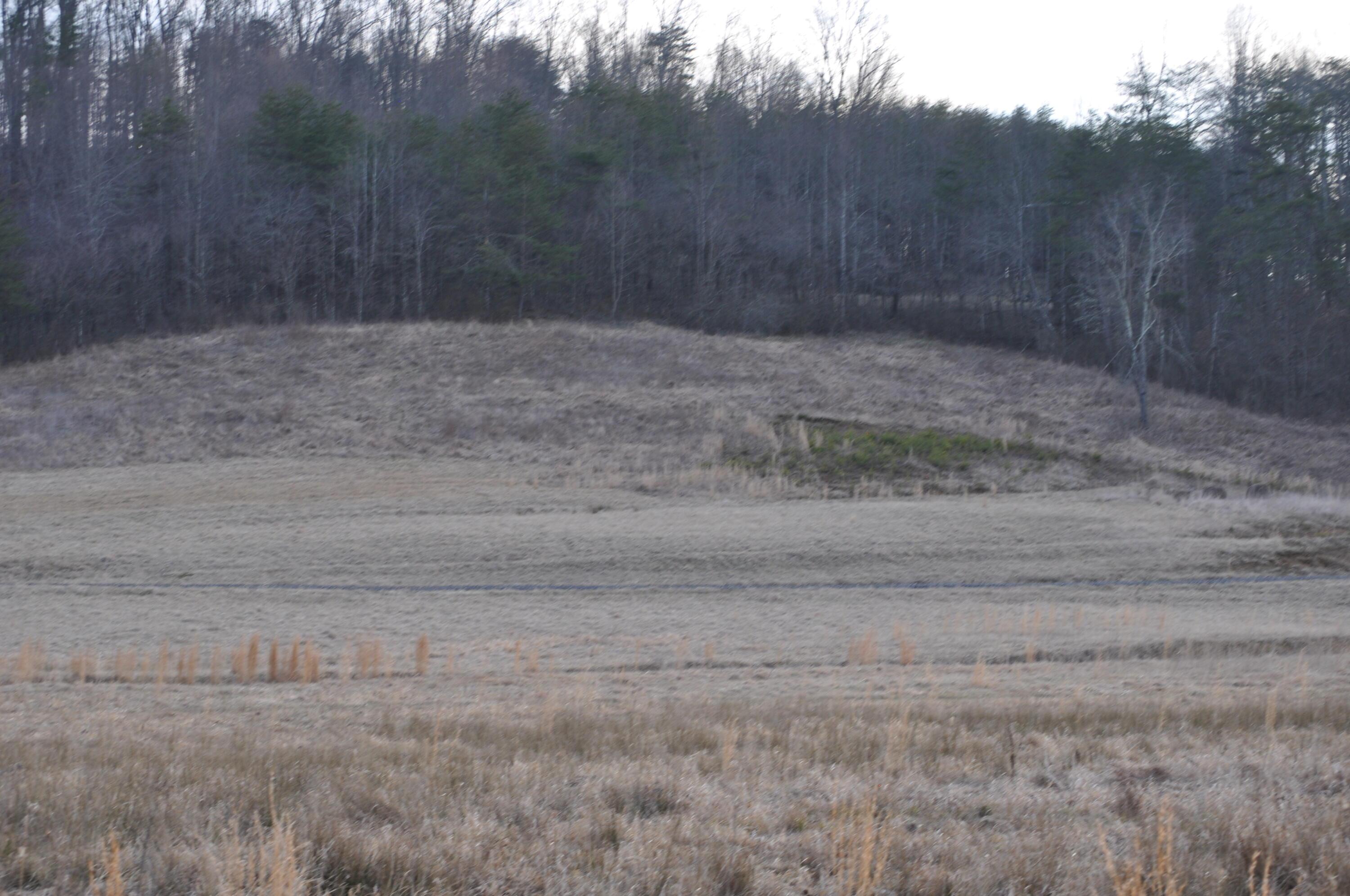 22808 Griffith Road Logan, OH 43138 - Photo 26 of 28 DSC_0334