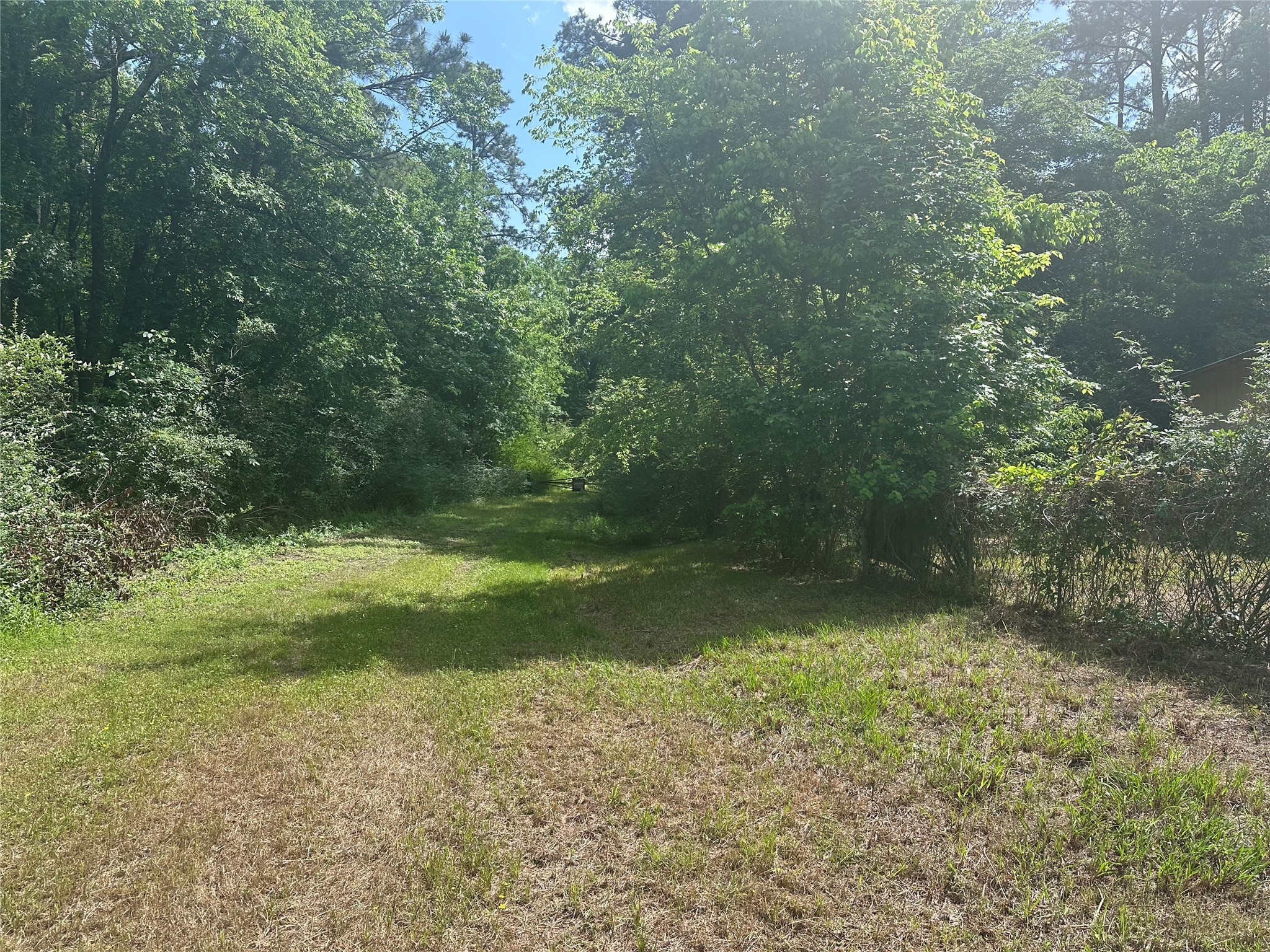 217 Box Factory Road Diboll, TX 75941 - Photo 14 of 14 a view of outdoor space and yard