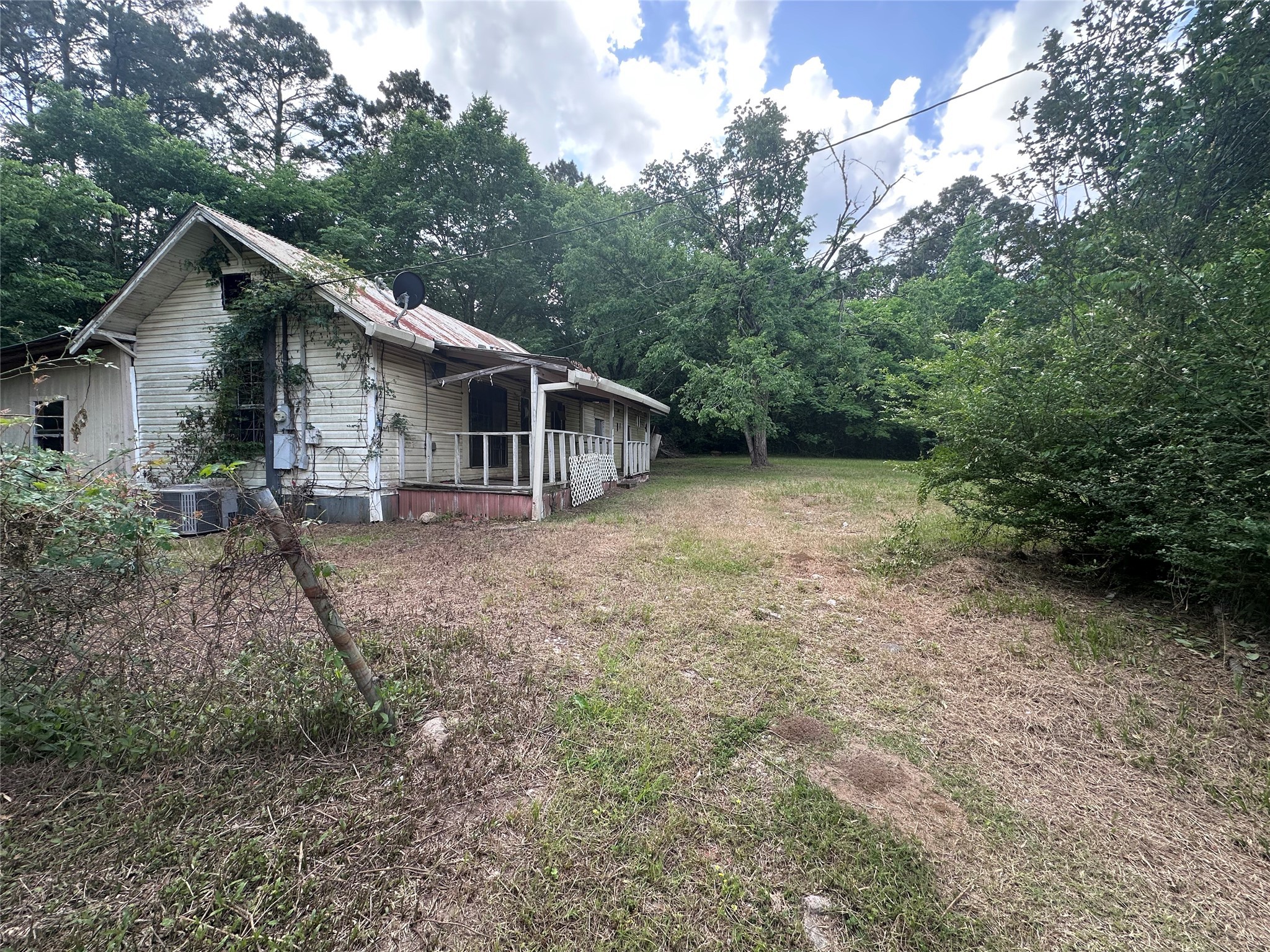 217 Box Factory Road Diboll, TX 75941 - Photo 5 of 14 a view of a house with a yard and trees