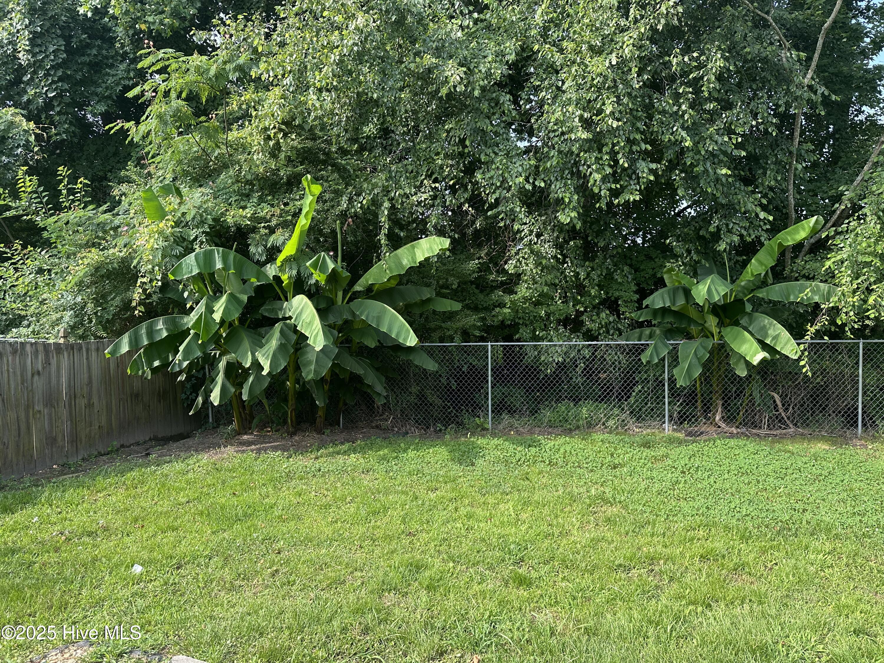 3846 Countryaire Drive Ayden, NC 28513 - Photo 37 of 40 Backyard
