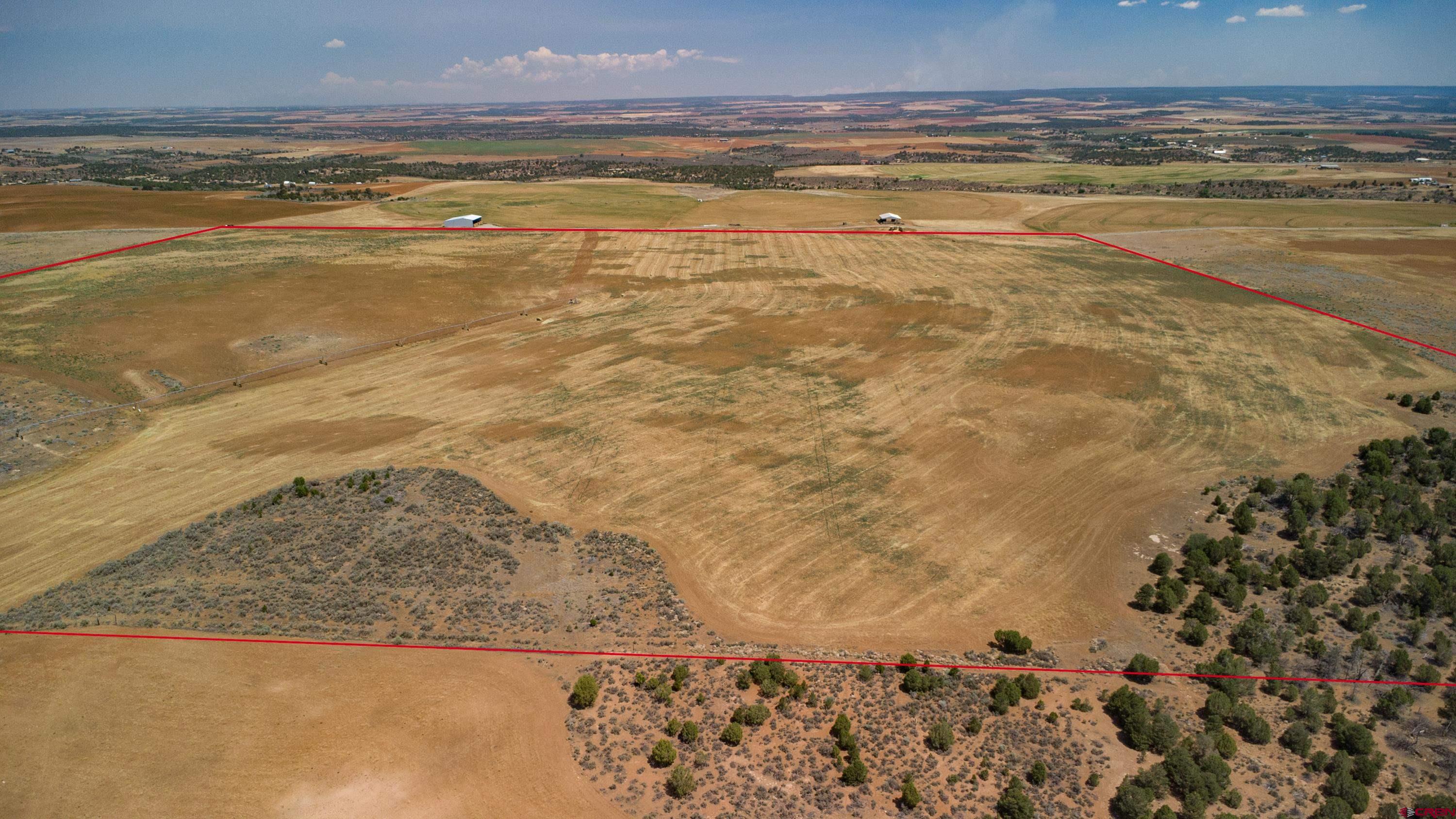 Tbd Tbd Road Pleasant View, CO 81331 - Photo 11 of 17