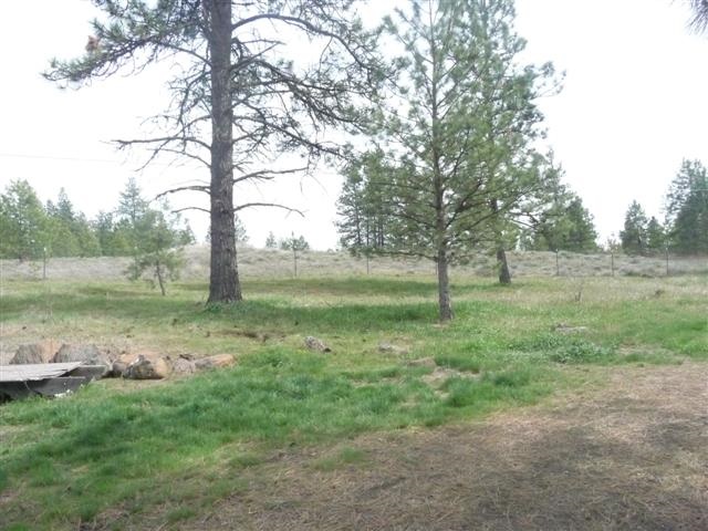 24505-s Pine South Rd Road Cheney, WA 99004 - Photo 12 of 16 Gallery Image 12