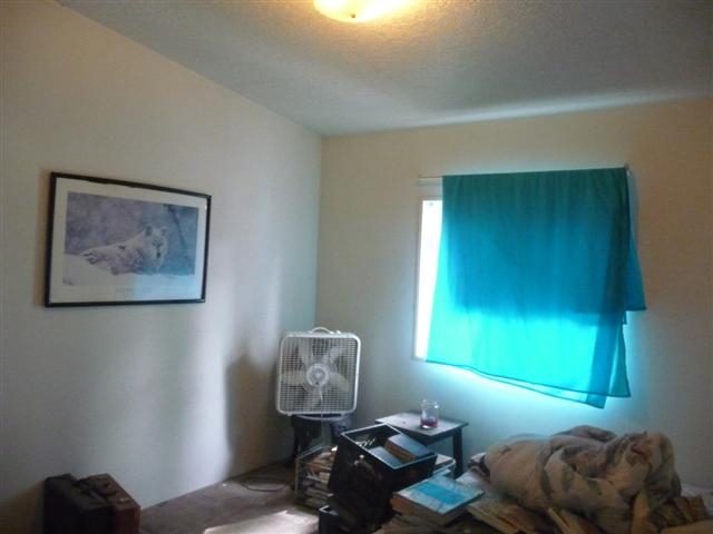 24505-s Pine South Rd Road Cheney, WA 99004 - Photo 10 of 16 Gallery Image 10