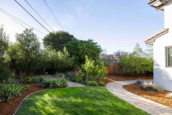 a view of a backyard with potted plants and large trees