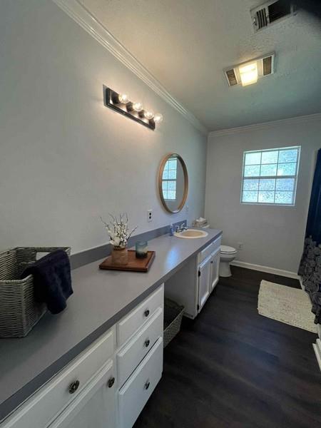 3810 Lisa Street Alexandria, LA 71302 - Photo 10 of 18