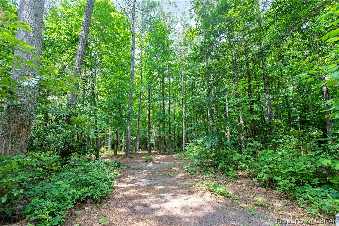 4935 Turks Ferry Road Gloucester, VA 23061 - Photo 35 of 36 Private 1.6 acres!