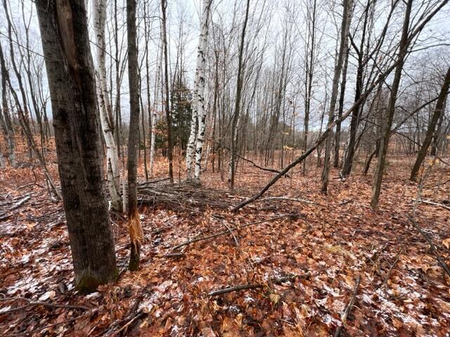 West Dotski Road Levering, MI 49755 - Photo 60 of 61 Gallery Image 60
