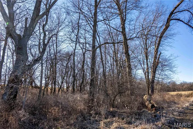 $380,700 | 0 Hwy Hh, Bowling Green, MO 63334