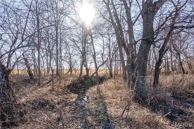 $380,700 | 0 Hwy Hh, Bowling Green, MO 63334