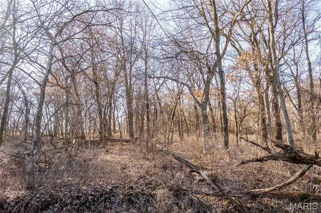 $380,700 | 0 Hwy Hh, Bowling Green, MO 63334